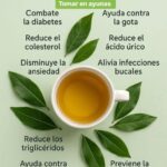 Descubre la Bendición del Té de Laurel: Un Remedio Natural Para Tu Salud