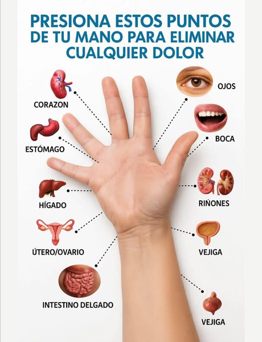 Presiona estos puntos de tu mano para eliminar cualquier dolor