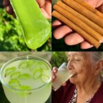 Receta Natural de Aloe Vera y Canela: Salud y Prevención