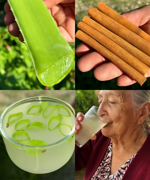 Bebida de Aloe Vera y Canela