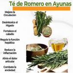 Descubre los Asombrosos Beneficios del Té de Romero en Ayunas