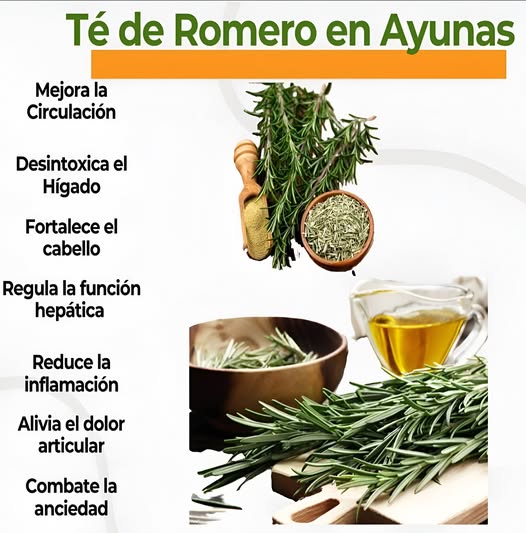 Té de Romero en Ayunas