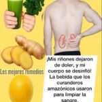 Alivio Natural: Cómo Eliminar el Dolor de Riñones con Hierbas Curativas