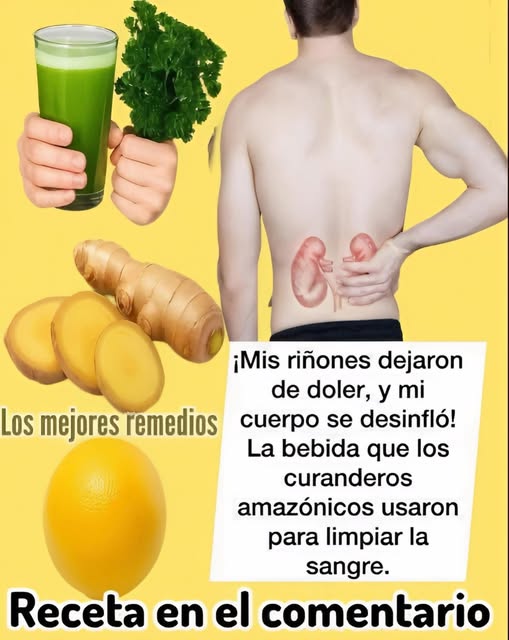 Ingredientes para el remedio natural de riñones
