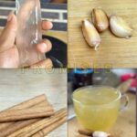Remedios Naturales para Fortalecer tu Salud: Elixir de Ajo, Sábila y Canela