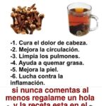 ¿Dolores e Inflamaciones? El Té de Clavo Tiene la Respuesta