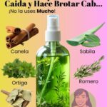 Receta Natural para Combatir la Caída del Cabello: La Mezcla Mágica de Nora