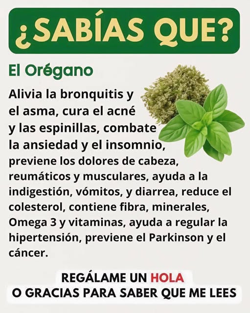 Hojas de Orégano