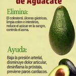 Descubre los Beneficios del Té de Semilla de Aguacate: Propiedades y Receta