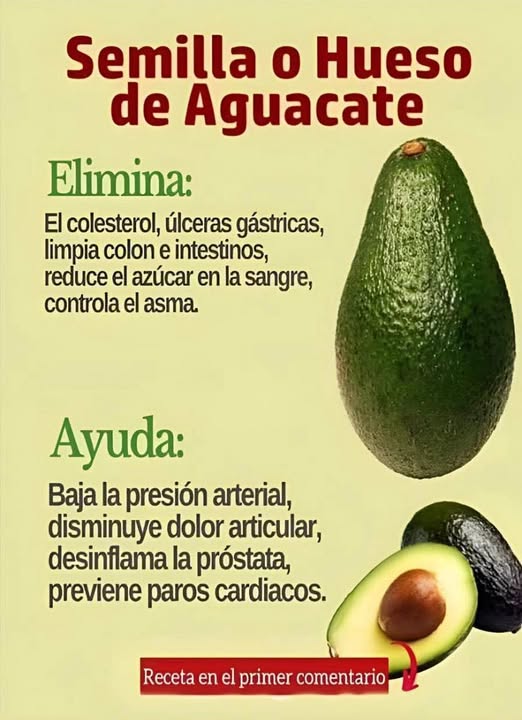 Té de Semilla de Aguacate