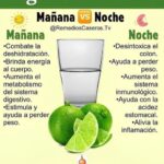 Los Increíbles Beneficios del Agua de Limón: Tu Aliado para la Salud