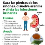 Infusión de Cola de Caballo y Perejil: Un Remedio Natural para Tu Salud Renal