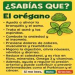 Combate 15 Problemas De Salud Con Orégano: Remedios Naturales para tu Bienestar