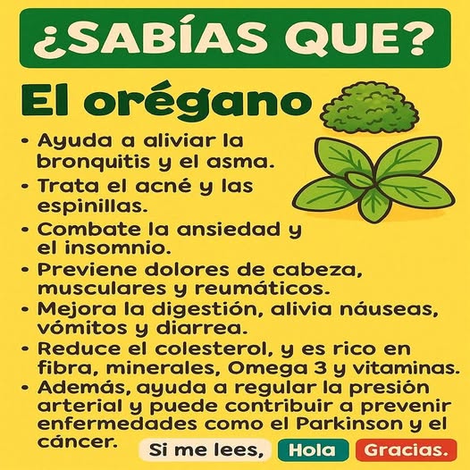 Infografía sobre las propiedades del orégano