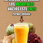 La Revolucionaria Mezcla Natural que Puede Transformar Tu Salud