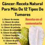 Guanábana: Beneficios, Síntomas y Recetas para tu Salud