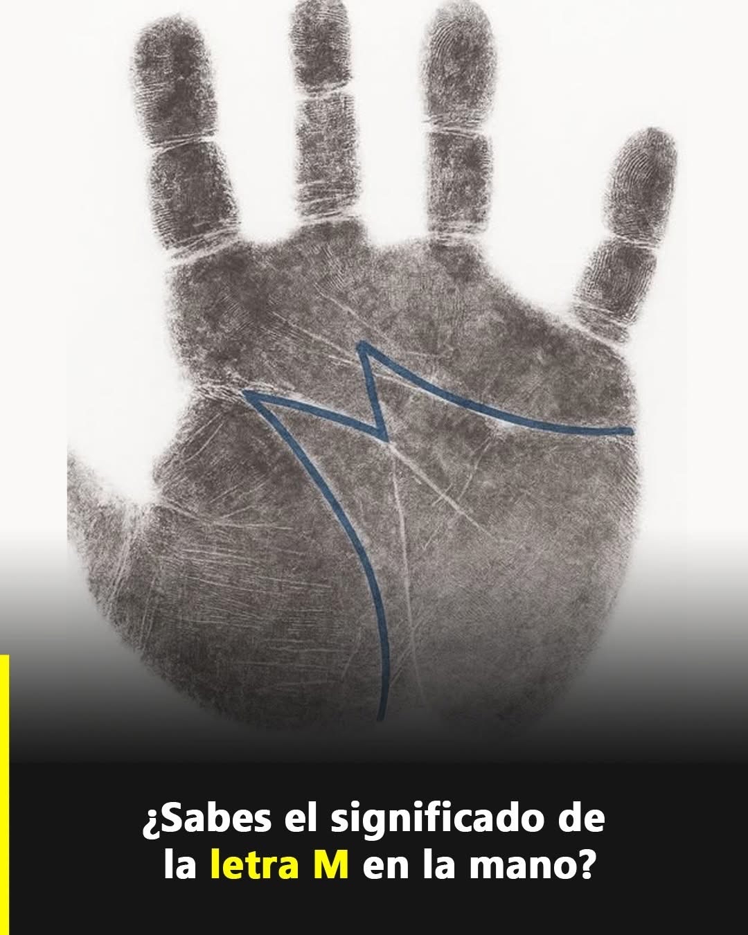Impresión de una palma de la mano con líneas marcadas, formando la letra M