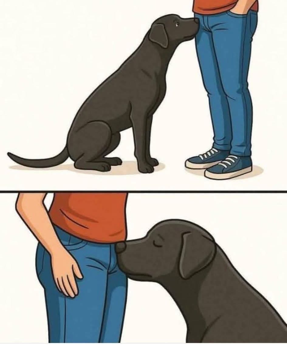 Perro negro junto a una persona
