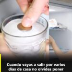 El Truco del Rockero: Cuida Tu Congelador con una Moneda