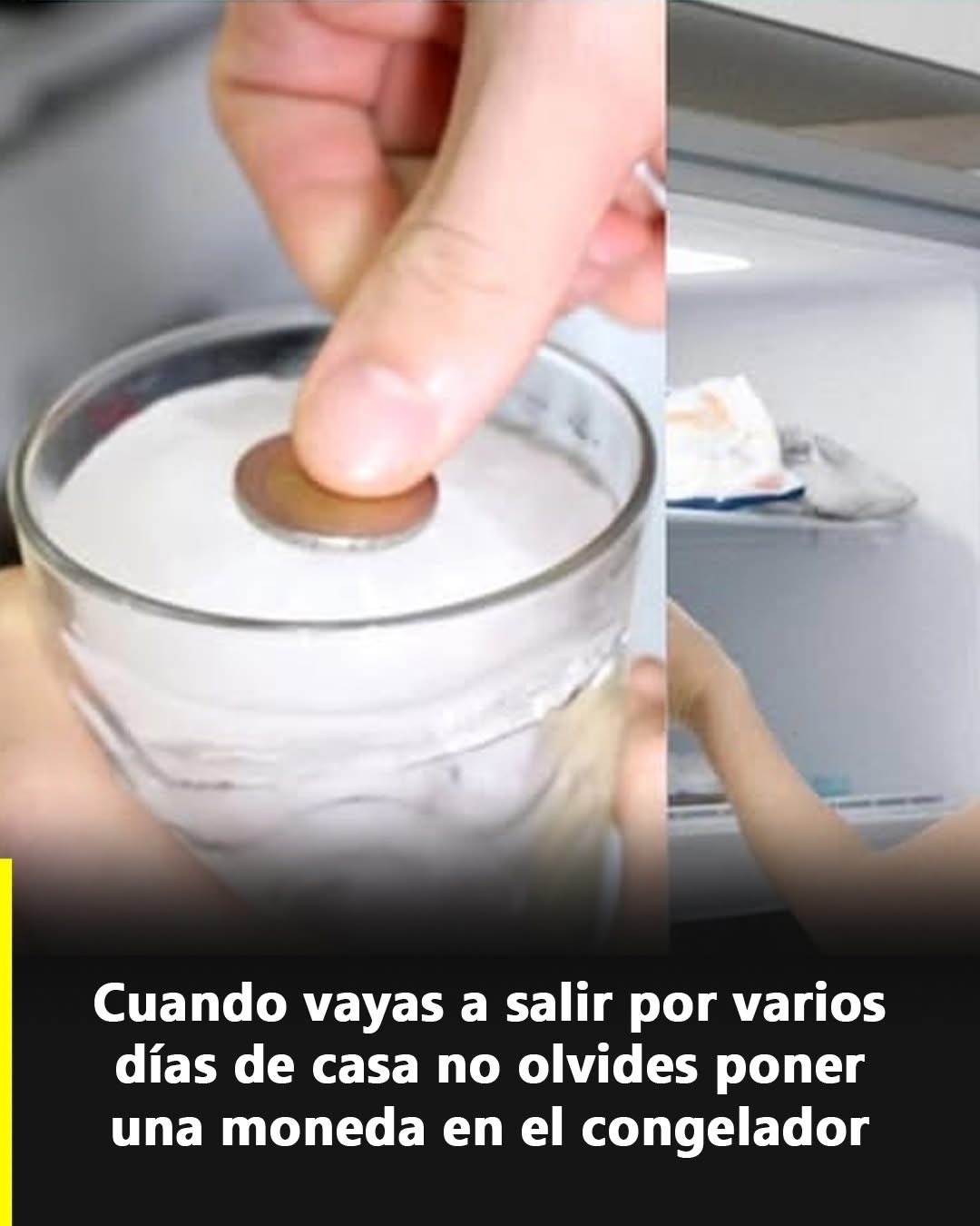Moneda sobre hielo en un vaso