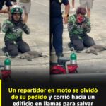 Héroe Sin Capa: El Repartidor Que Salvó Un Gatito De Un Incendio