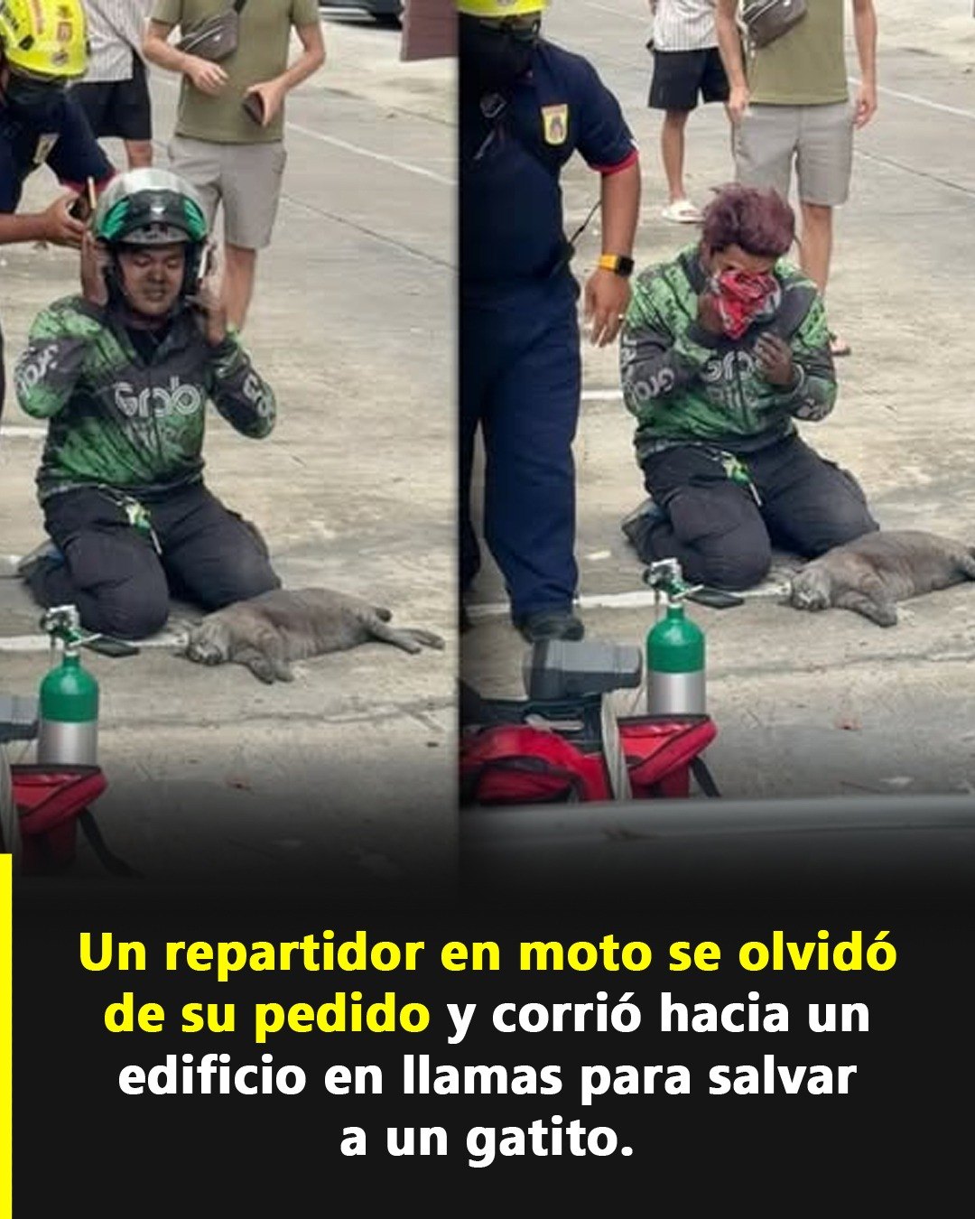 Repartidor en llamas rescatando un gatito