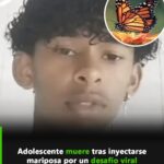 El peligro de los desafíos virales: el caso del adolescente que inyectó mariposa