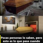Lo Que Realmente Ocurre Cuando Tu Cuerpo Es Cremado: Un Vínculo con el Rock