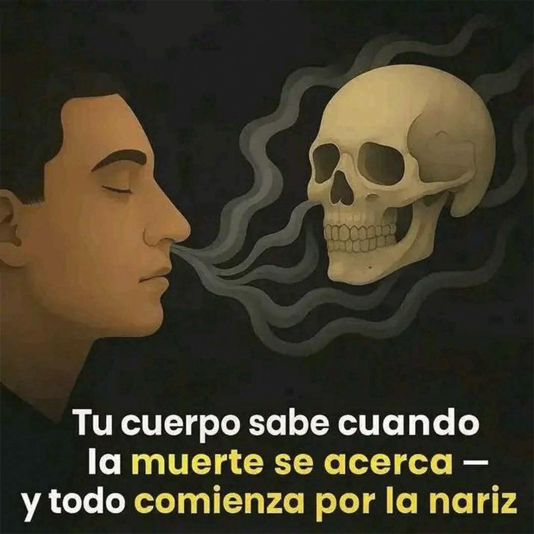 El cuerpo presiente el final mucho antes de que llegue