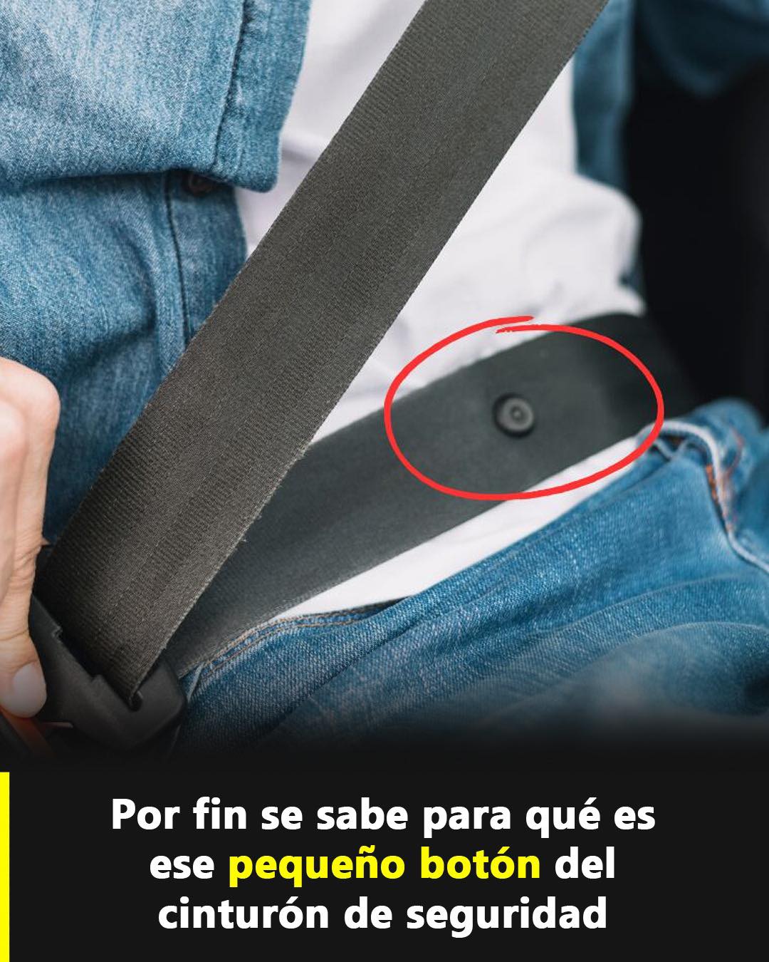 Botón del cinturón de seguridad