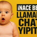 Nace la primera bebé llamada Chat Yipiti y las redes ya la imaginan respondiendo exámenes con IA